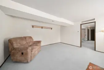 Family room in basement.