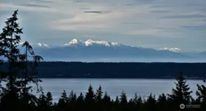 Olympic Mountain views