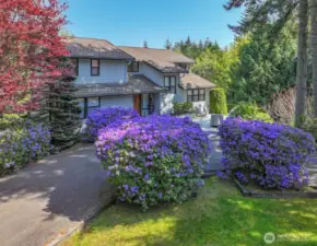 Circle through driveway with lots of parking.