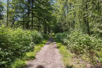 Neighborhood trail to river access.