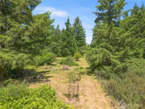 Trails through the property