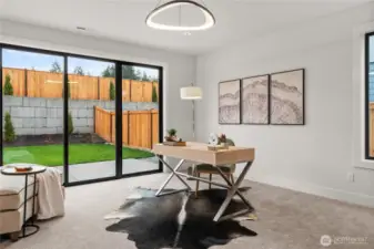 Lower level flex room
