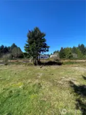 Open grass area by water