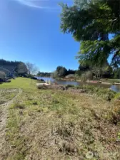 See the wildlife, clearing for camping