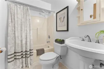 Lower level full bath