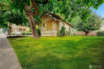 This image is a virtual staging (green grass)