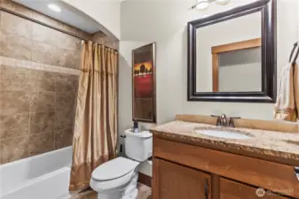 Guest bathroom
