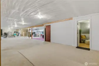 Unfinished Lower Level