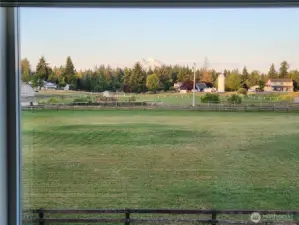 You'll experience this unparalleled Mt. Rainier views right from the spa-inspired soaking tub