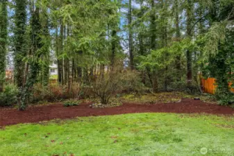 property line goes well beyond the bark.  Property abuts open space