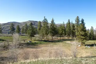 Beyond the manicured grounds around the house, the property extends through native sage-steppe and open pine forest habitats (and also includes a significant stretch of Vintin Creek).