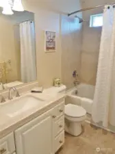 Upstairs Guest Bathroom.