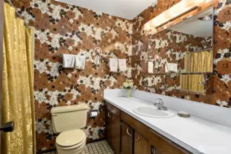 Full Guest bathroom