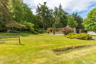 View of side of yard from Williams Rd