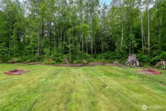 The stumps are original from the property and are actually un-attached, meaning they can be moved around wherever you'd like. There are also perennial plantings scattered throughout the stump area.