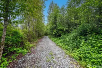 The tree lined driveway has been cleared and is ready for all your plans!