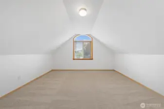 So many possibilities for this bonus room - playroom, home gym, theater room?  What will you do?