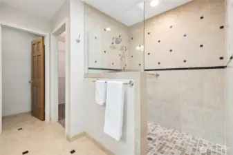 On the other side you see this massive tiled shower with 2 heads. Behind this is the walk-in-closet, and to the left is the watercloset.