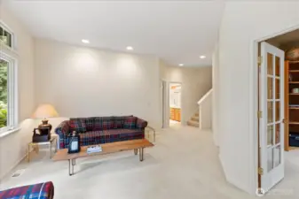 Lower-level family room