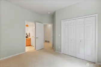 Lower-level bedroom with door to family room and sliding door to full bathroom