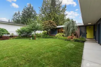 Front yard (courtyard)