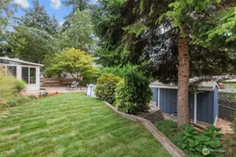 Backkyard lawn