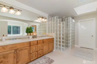 Primary Suite 5- piece bathroom with a walk-in closet.