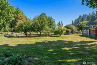 Level front pasture with fruit trees - fenced and cross fenced