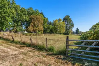 Fully fenced second pasture