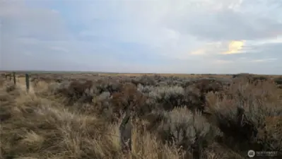 Gorgeous Natural Brush