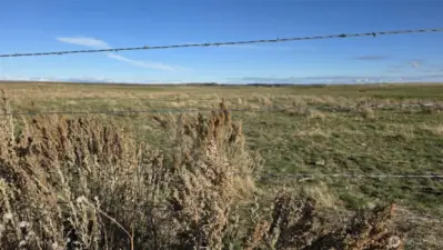 Eagle Springs Ranch 1