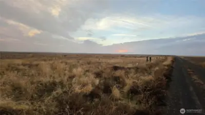 Tranquility - don't blink - you'll miss the wildlife visitors.