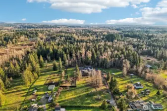 property extends into the woods- see the maps in suppliments