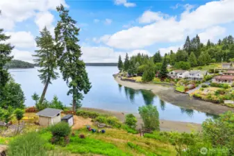 look at the trees dancing  they are so happy