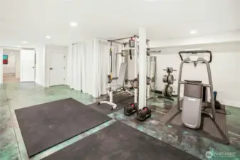 The lower level bonus has plenty of room for a home gym/yoga studio or creative space.