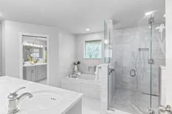 Fully remodeled Primary bath, heated floors, large shower and walk in closet