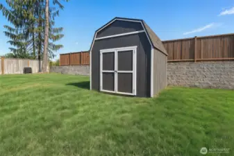 Backyard with Shed