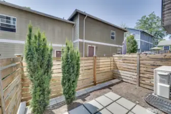 Back Patio