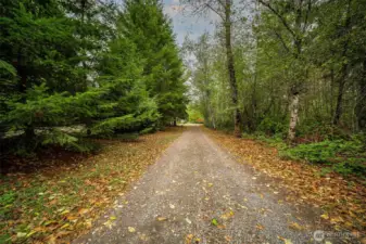 Private treelined drive to small cul-d-sac neighborhood.
