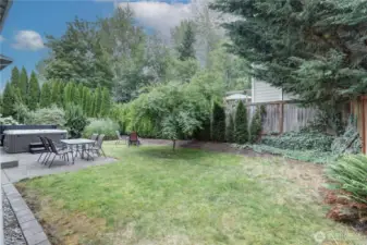 Beautiful back yard with hot tub