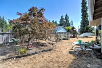 Plenty of room for a garden! Or exercise that green thumb and make this a backyard paradise!