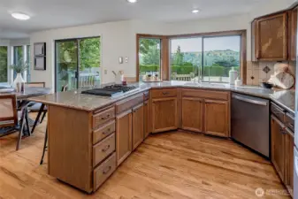 Kitchen sink views!