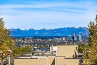 Photos from model home with similar layout, but different color scheme