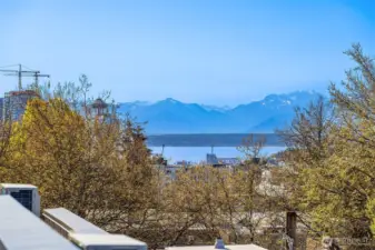 Photos from model home with similar layout, but different color scheme