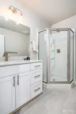 Lower level large bathroom