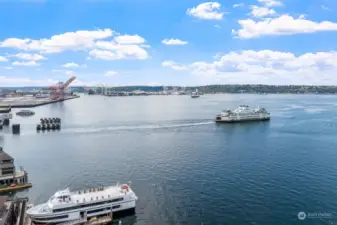 The Seattle Ferry system is approximately a 10-minute walk from The Florentine.