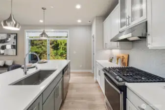 Sleek designer kitchen with easy backyard access for your summer entertaining dreams.