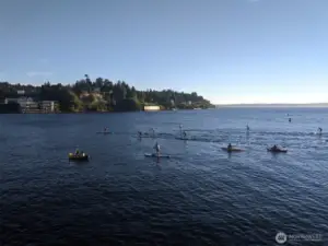 Paddle boards in the summer