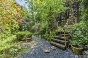 This 1/2 acre offers 'secret' gardens, bird & wildlife friends, and year round, natural color.