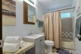 The lower level has another full bath!